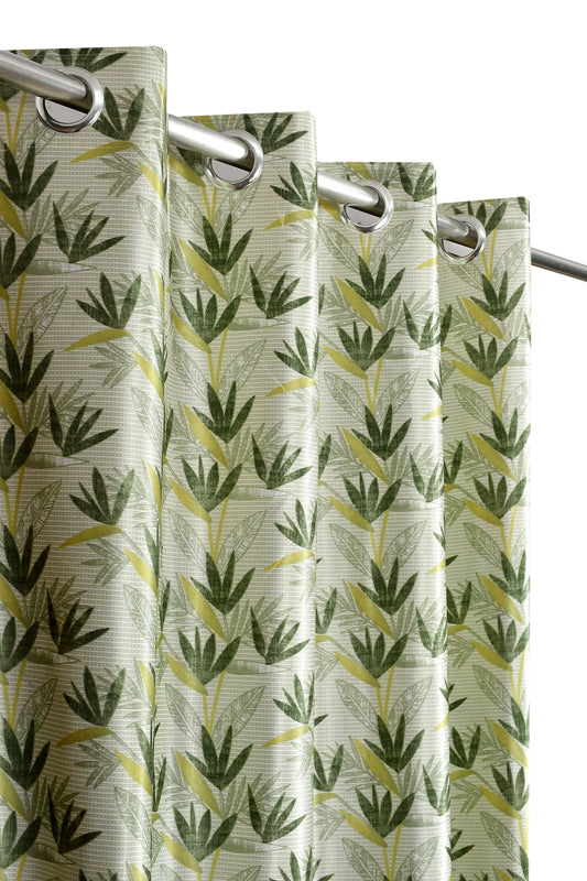 CANE LEAF PRINT