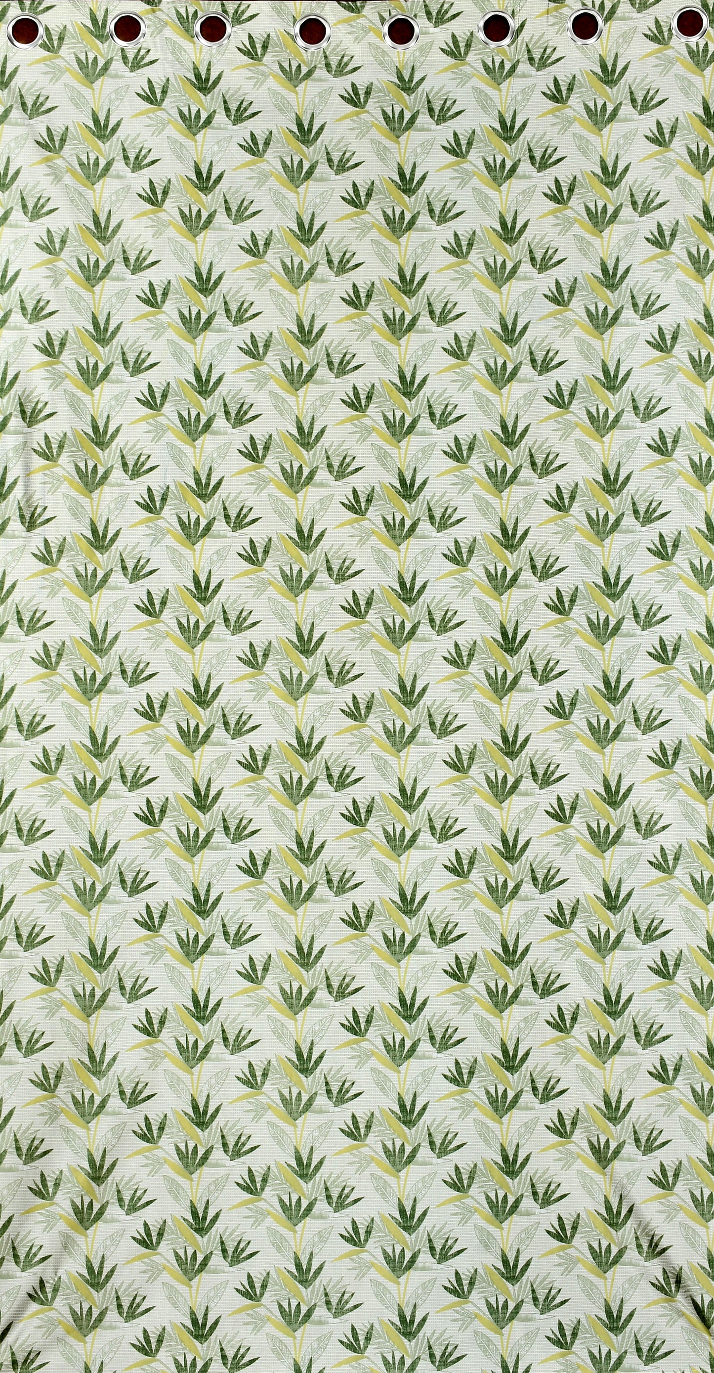 CANE LEAF PRINT