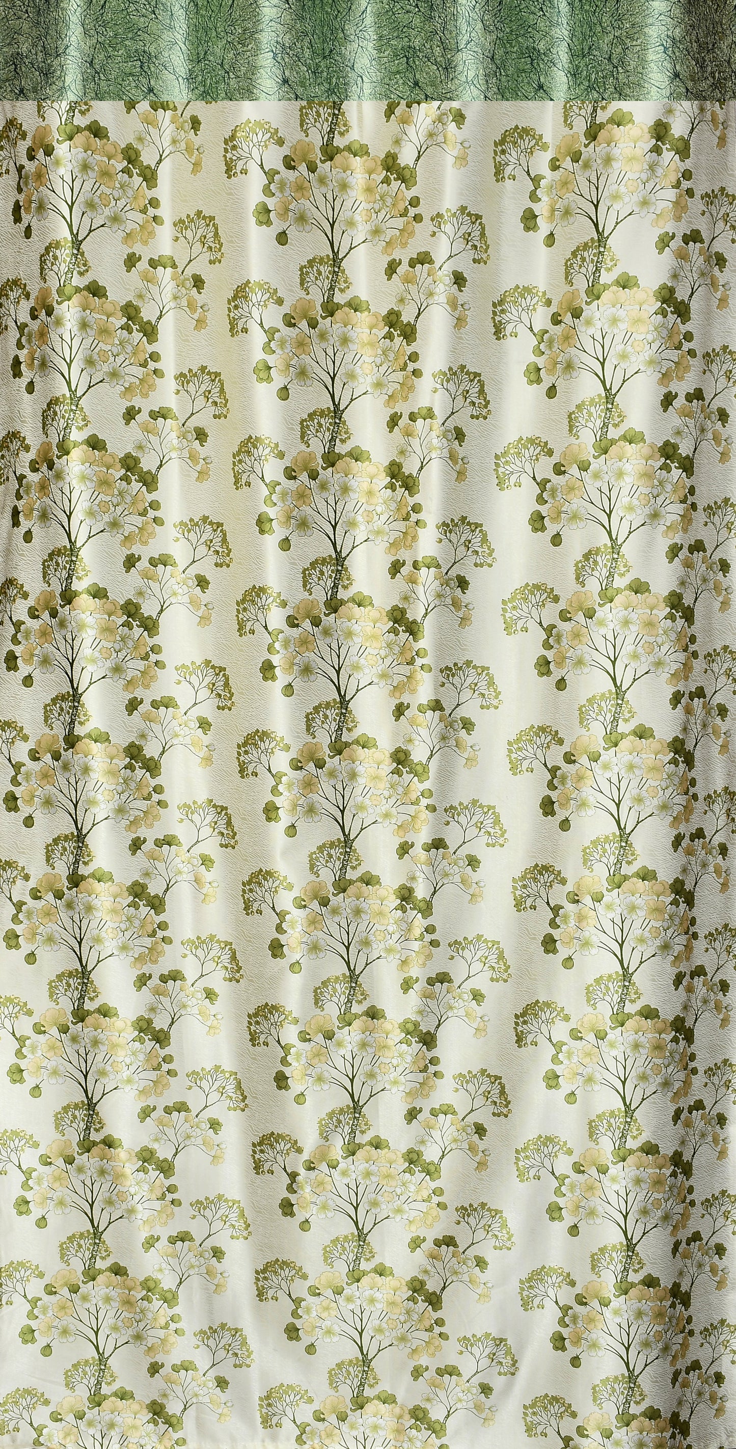 CAMRIN UMBRELLA PATTI COMBO