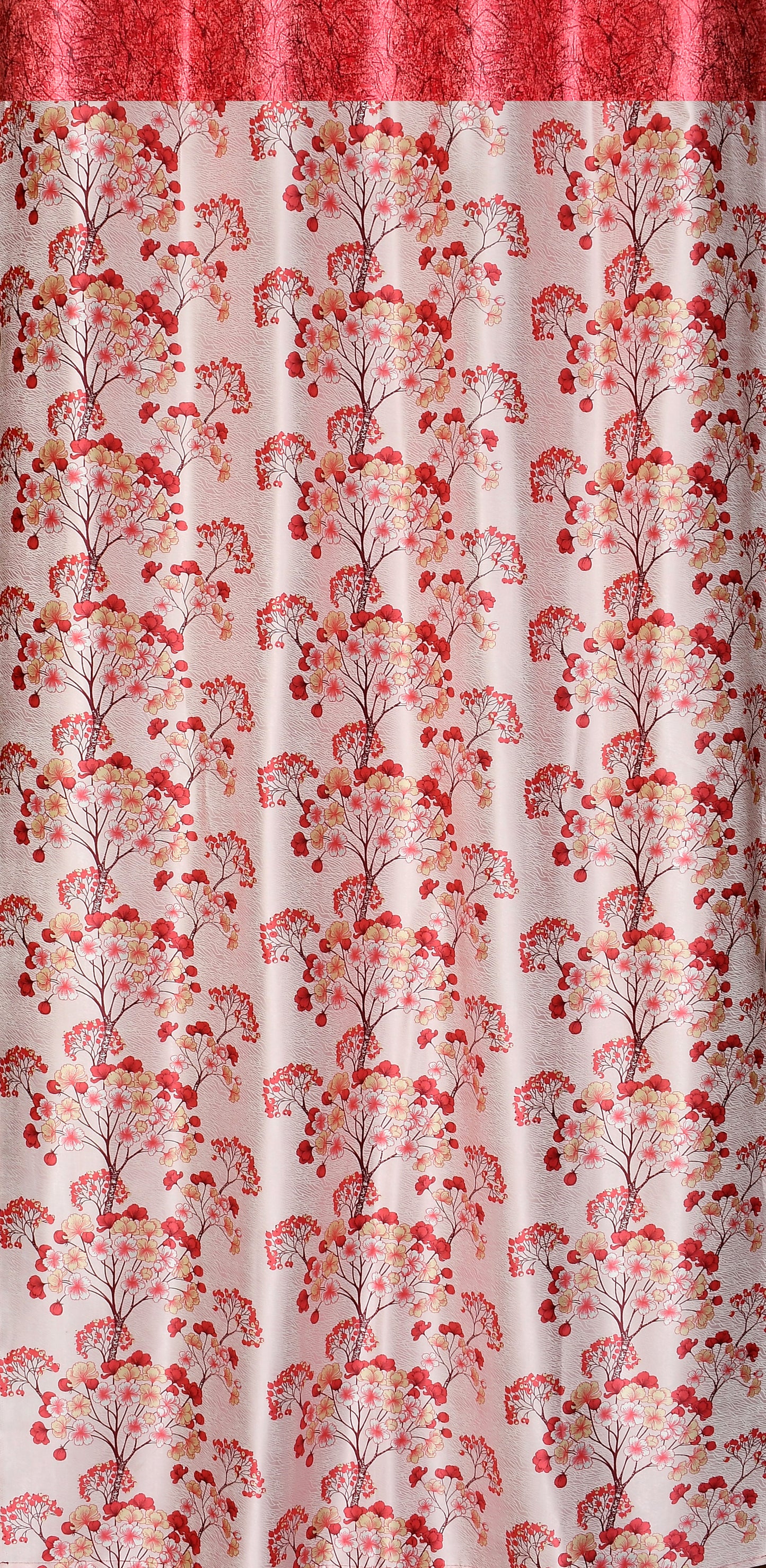 CAMRIN UMBRELLA PATTI COMBO